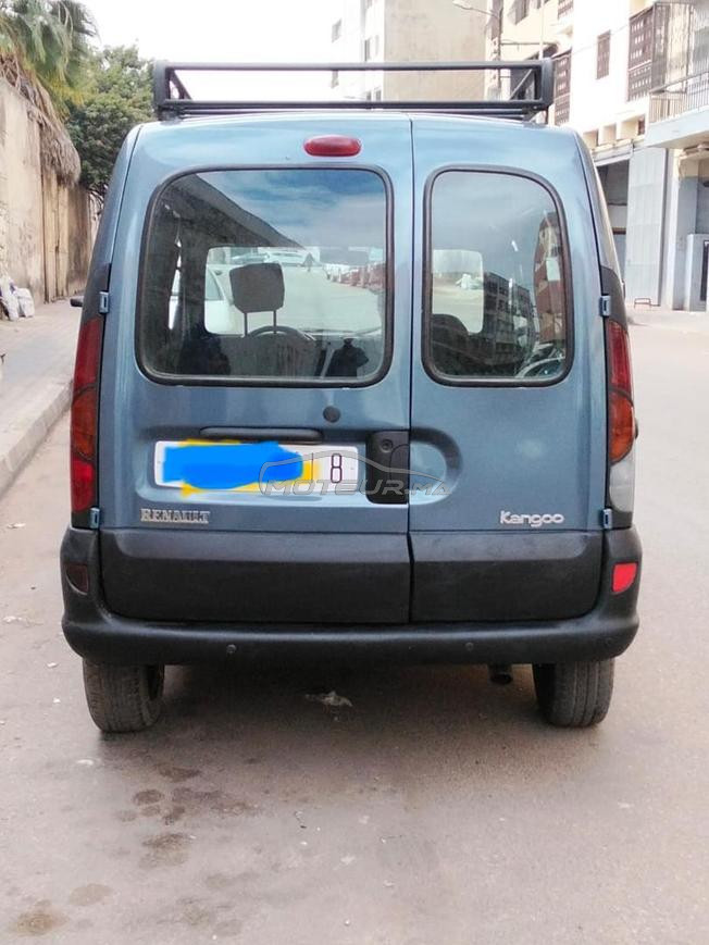 kangoo