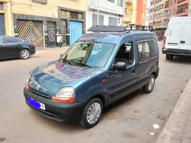kangoo