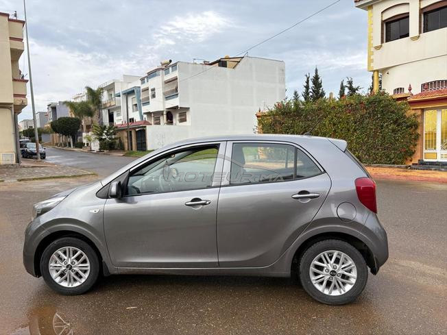 kia picanto 