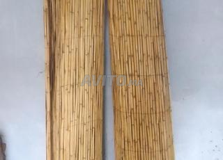  جديد كرباج قصب