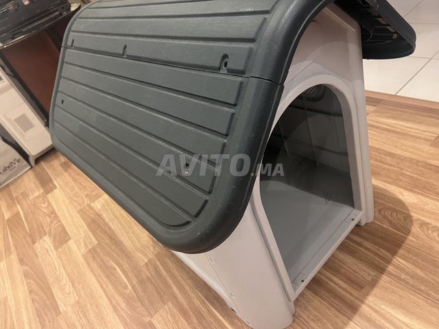 منزل للكلاب