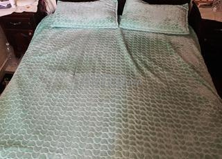 نمسية  معها. المطربة في وضع جيد 