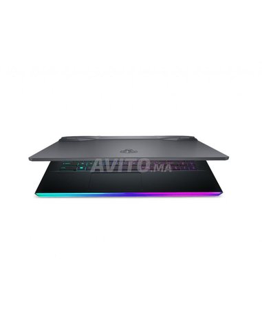Msi Gaming GE66 Raider 10UG