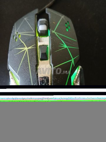 Souris R8 led 1615 A