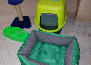 accessoires complets pour chat