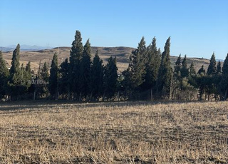 ‎قطعة أرض محفظة للبيع بطنجة