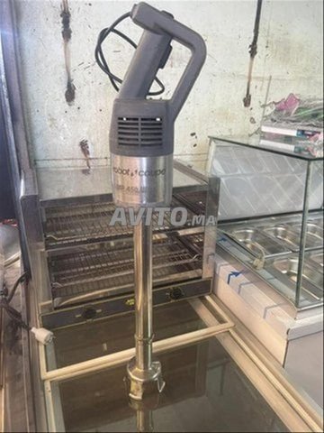 mixeur plongeant girafe professionnel 