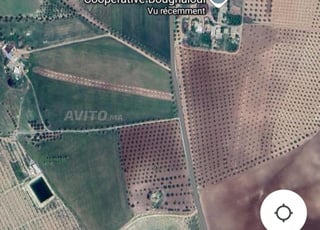 أرض فلاحية مساحتها 18 هكتار في بوغيول إقليم صفرو 