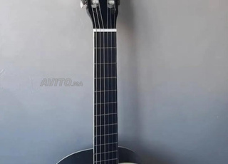 Guitare acoustique Sheffield
