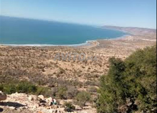 Terrain à vendre au dessus de Taghazout