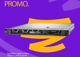 Dell PowerEdge R450 Rack Serveur 