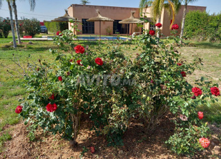 VILLA PRIVÉE- GRANDE PISCINE CHAUFFÉE.