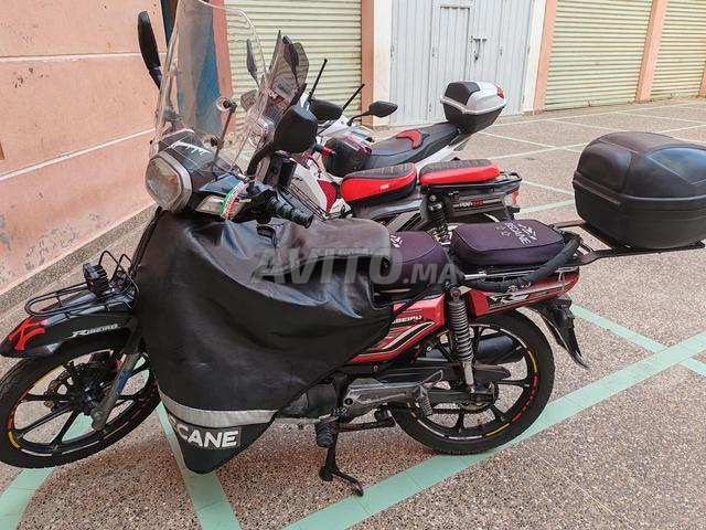 Développeur Bikan 33 propre modèle 2018 moteur 110 - 2