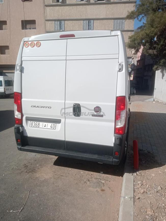 فياط دوكاتو للبيع