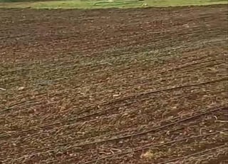 أراضي فلاحية ممتازة للكراء بعمالة وزان