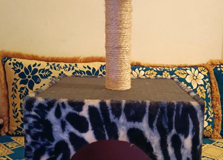 مكان نوم القطط (عش دافئ)