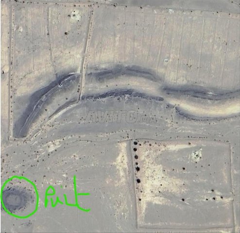 Terain agrecole a Tisserdmine Merzouga.