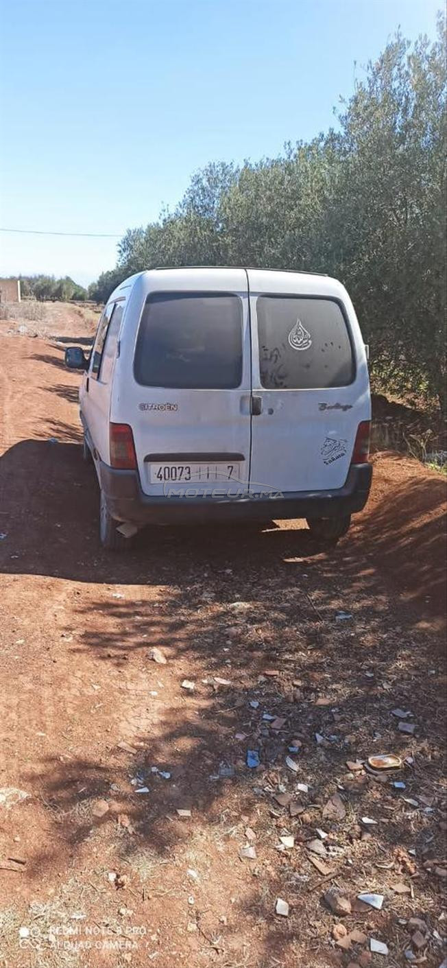 berlingo