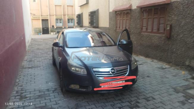 insignia 2011