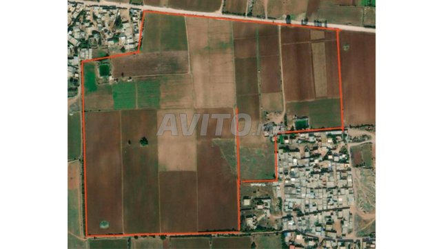 Opportunité Rare. Terrains à vendre à Sidi Rahal