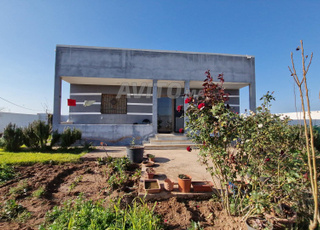 فيرمة بمدينة الجديدة 