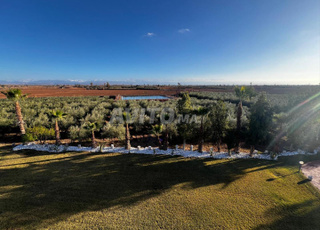 terrain ferme avec une joli maison et piscine 