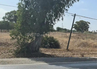 Terrain bien situé à vendre Près Fedalate