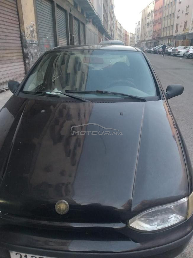 palio