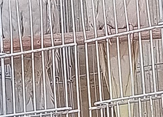 2 COUPLATE FICHER 1 COUPLA CALOPCETE 