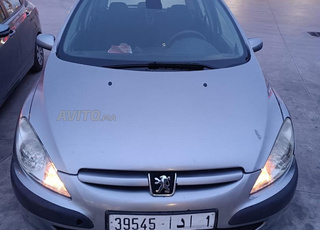 Peugeot 307 gris