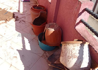 شحن البضائع