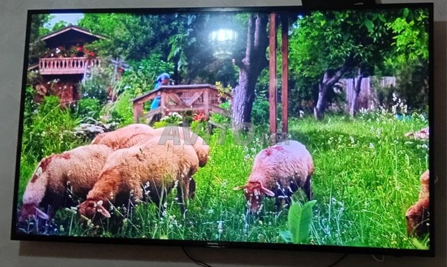 télévision Samsung smart 55 puce LED