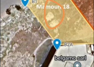 ارظ للبيع عين سبع 