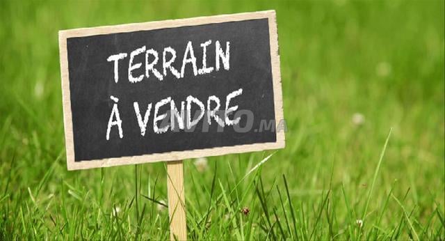 Terrain 1 Ha à vendre à Labissa Bouskoura