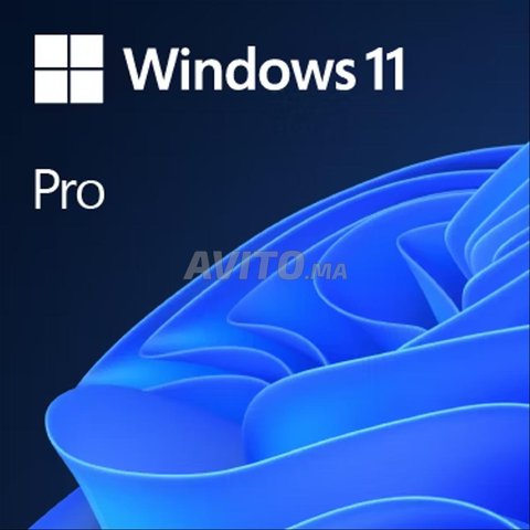 windows 11 pro / home online activation