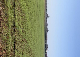 terrain a vendre bon prix 