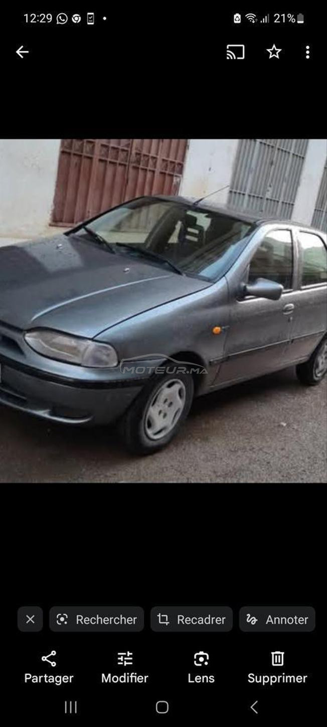 fait palio 