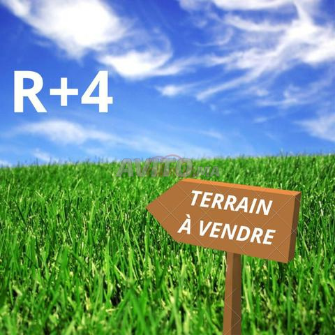 Vente Terrain nu de 357 m2 à Casablanca