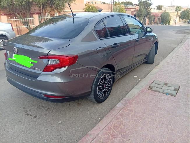 فياط تيبو نقية
