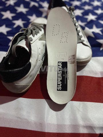 golden goose