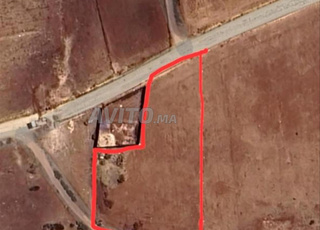 2000 m² ملحية حرة
