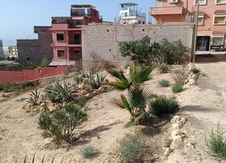 Tamraght terrain à vendre