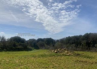 Terrain de 1100 m² à vendre à 5 km d’Asilah