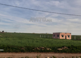 بقعة أرضية مسحتها 1500متر مربع 