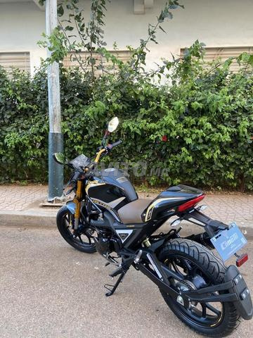 cimatti monster evo 4 | Motos à Rabat | Avito.ma