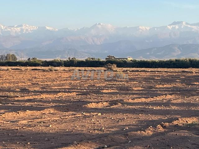 Terrain titré 11 ha zone SD1 route ourika