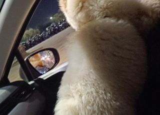 dkar mli7 tbarklah 3mro 6mois 