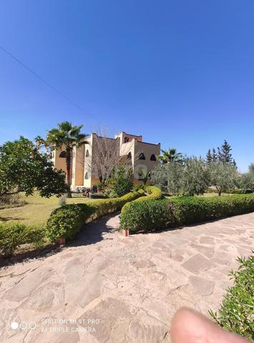 Villa d'un hectare au km 20 route d'Ourika - 2