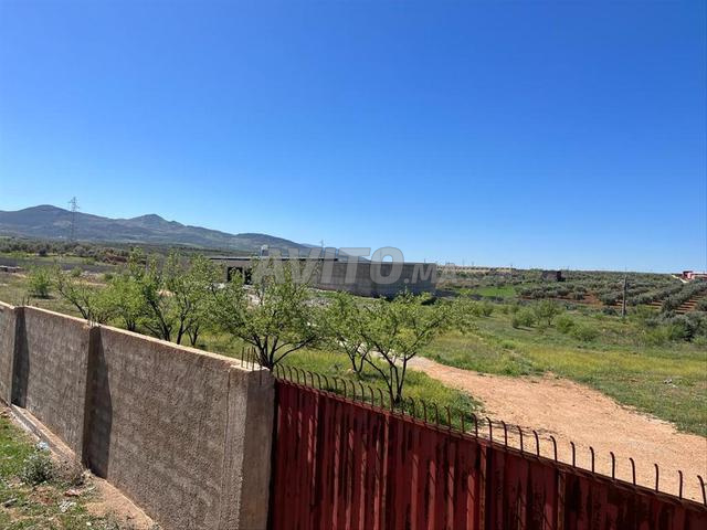 Terrain Agricole Sefrou de 4.5 hectares 