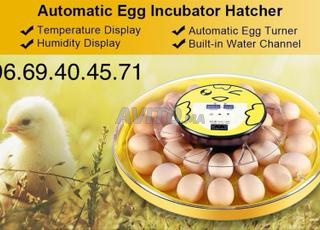 فقاسة بيض أوتوماتكية 55 بيضة